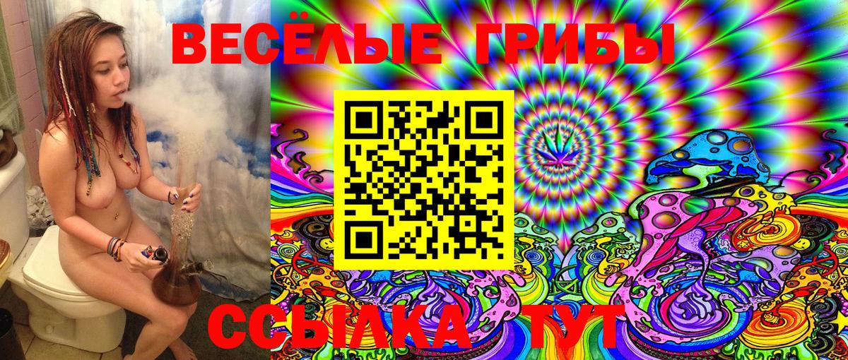 Галлюциногенные грибы Cubensis Еманжелинск